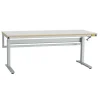 Arbejdsbord ErgoNomi ESD 2000x620mm m/vinyl bordplade