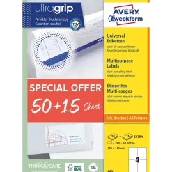 Avery Universaletiketter 105x148mm Promotion (260)