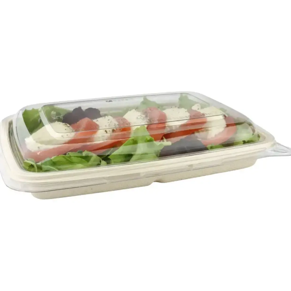 Bagasse bakke - 22,9x16,5x2,9cm brun sukkerrør komposterbar pfas fri - 600 ml - 300 stk