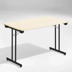 Bord Dinner, Birk 1200x800 mm, Sort understel