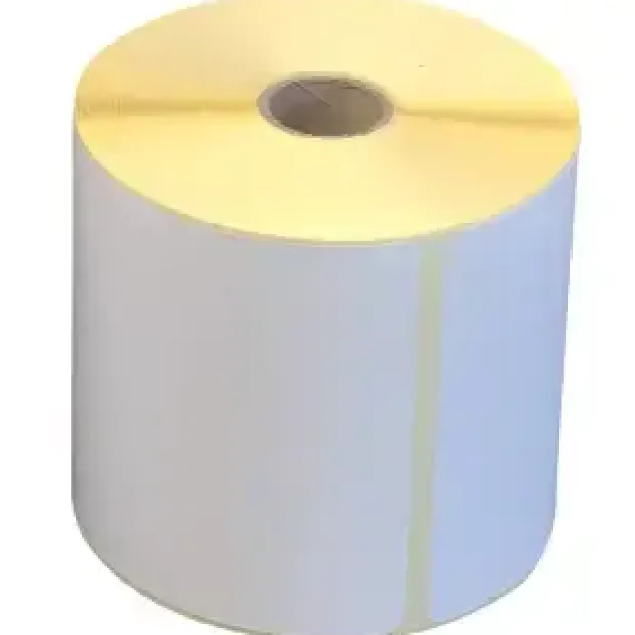 Brother Uncoated die cut label roll 100x192mm (18)
