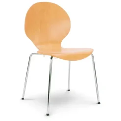 Cafestol Cafe VI Bøg