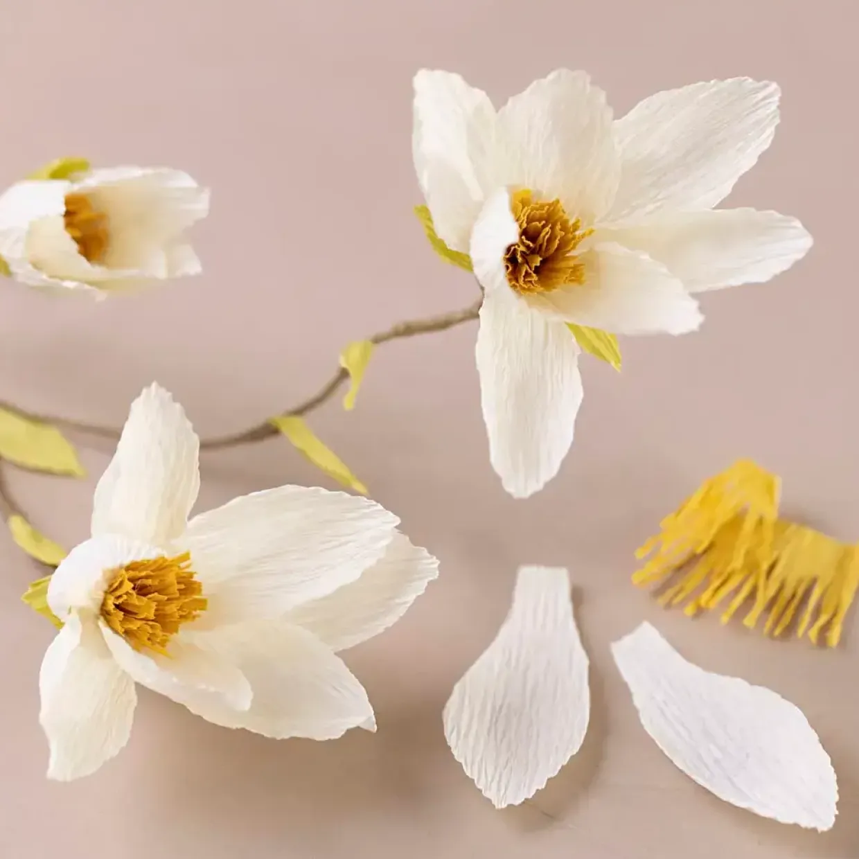 DIY Kit Crepepapir Magnoliagren Stræk crepe: 180% 105 g