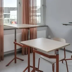Elevbord Atlas 1132, 700x600mm, eg højtrykslaminat, hvidt stel