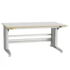 ESD-arbejdsbord Bord 400 1500x800mm grå HPL