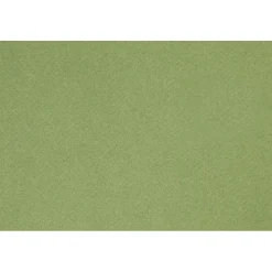 Fransk karton 160 gram A4 210 x 297 mm - Apple Green