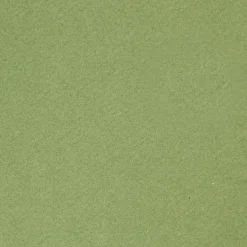 Fransk karton 160 gram A4 210 x 297 mm - Apple Green