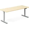 Hæve-sænkebord DNA, Birk 2000x800 mm 2-ben/Alugrå