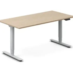 Hæve-sænkebord DNA, Eg 1600x800mm 2-ben/Alugrå