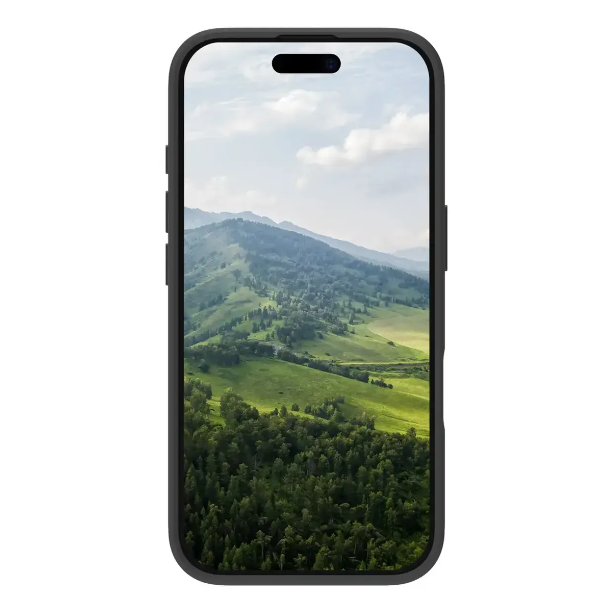 iPhone 16 Pro cover, Dbramante1928 Greenland sort