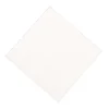Klude 38x38cm hvid PLA viskose perforeret uden mikroplast - 100 stk