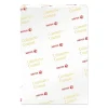 Kopipapir Xerox Colotech+ Coated silk SRA3 300g 450x320mm 125ark/pak