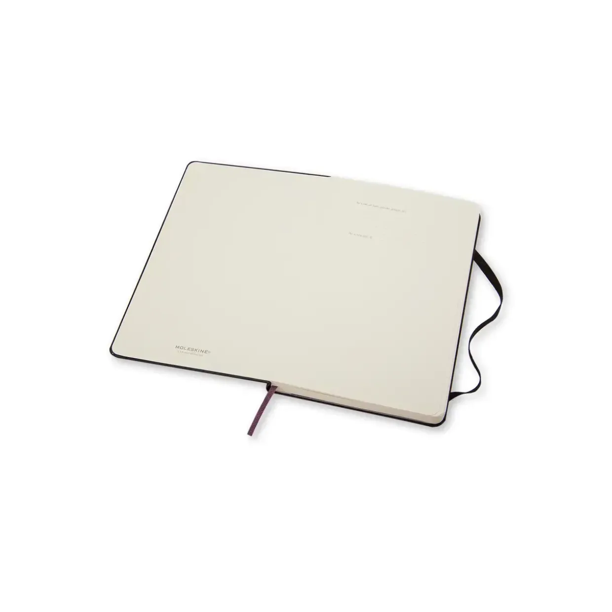 Notesbog MOLESKINE Classic hard linieret Large sort