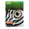 Papir Epson Fine Art Cotton Textured Bright A3+ 25 Sheets