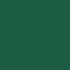 Serviet Bio Dunisoft 40x40cm mørkegrøn - 6 pk x 60 stk/krt
