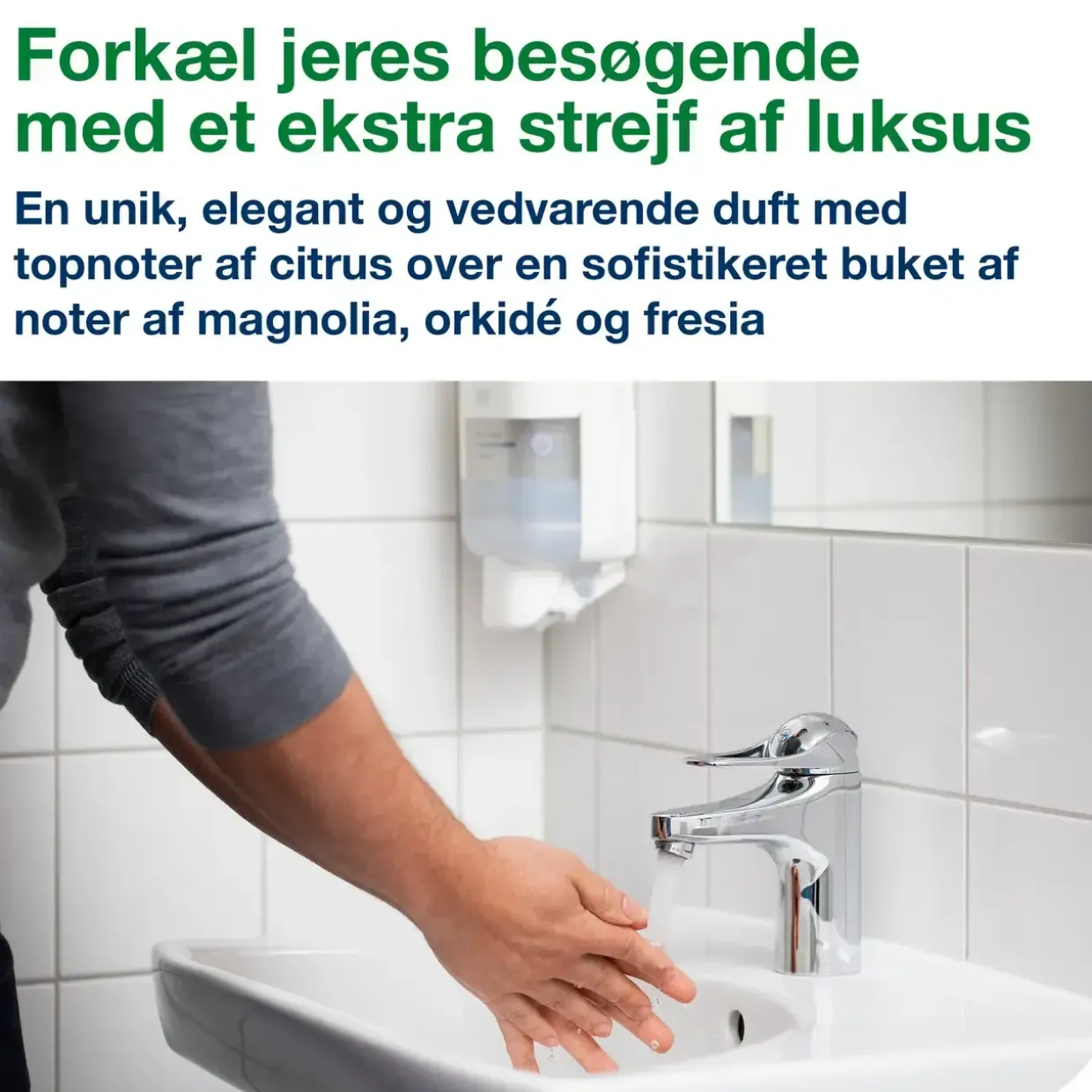 Skumsæbe Tork 525902 Luksus Mini S5 8x525ml