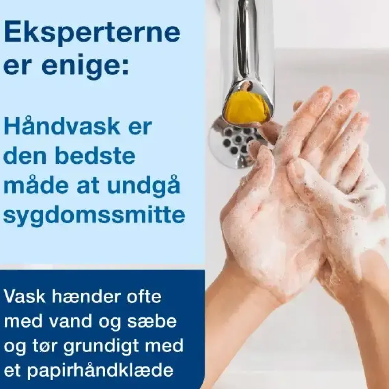 Skumsæbe Tork 520501 S4 Premium hvid Mild - 6 flasker á 1 liter