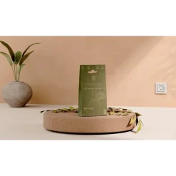 ËSSENTIALS by Upström ËSSENTIALS MFI Lightning to USB-C Cable, 2.5m