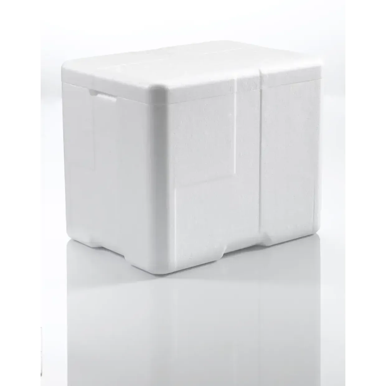 Termokasse med låg CoolSafe 3 - Hvid - 25 liter
