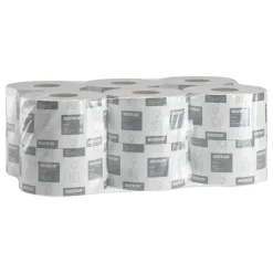 Toiletpapir, Katrin 108925, Plus, Gigant S, 2 lags, 160 meter - 12 ruller