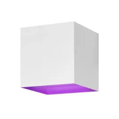 Udendørs væglampe Hombli Smart V2 White