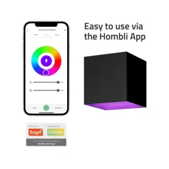 Udendørs væglampe Hombli Smart V2 Black