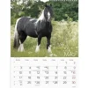 Vægkalender - Heste - 295x394mm - Spiral - 2027 - Mayland - 27066310