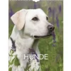 Vægkalender - Hunde - 295x394mm - Spiral - 2027 - Mayland - 27066320