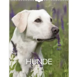 Vægkalender - Hunde - 295x394mm - Spiral - 2027 - Mayland - 27066320