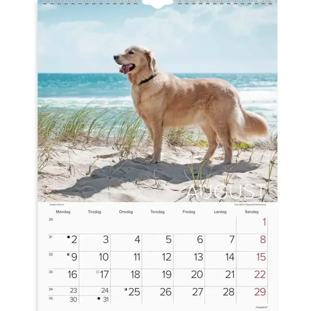 Vægkalender - Hunde - 295x394mm - Spiral - 2027 - Mayland - 27066320