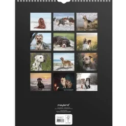 Vægkalender - Hunde - 295x394mm - Spiral - 2027 - Mayland - 27066320