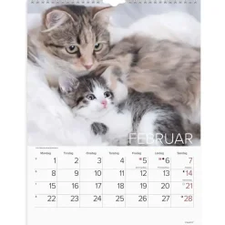 Vægkalender - Katte - 295x394mm - Spiral - 2027 - Mayland - 27066300