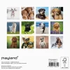 Vægkalender mini - Hundehvalpe - 160x164mm - Spiral - 2027 - Mayland - 27066410