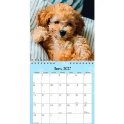 Vægkalender mini - Hundehvalpe - 160x164mm - Spiral - 2027 - Mayland - 27066410