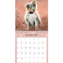 Vægkalender mini - Hundehvalpe - 160x164mm - Spiral - 2027 - Mayland - 27066410