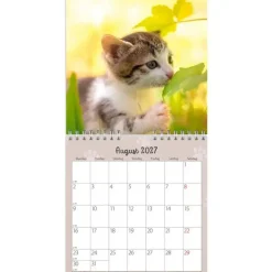Vægkalender mini - Kattekillinger - 160x164mm - Spiral - 2027 - Mayland - 27066400