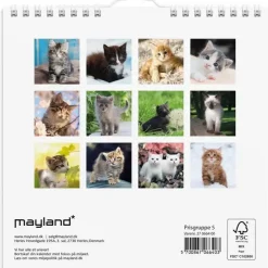 Vægkalender mini - Kattekillinger - 160x164mm - Spiral - 2027 - Mayland - 27066400