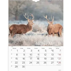 Vægkalender - Verdens dyr - 295x385mm - Spiral - 2027 - Mayland - 27066330