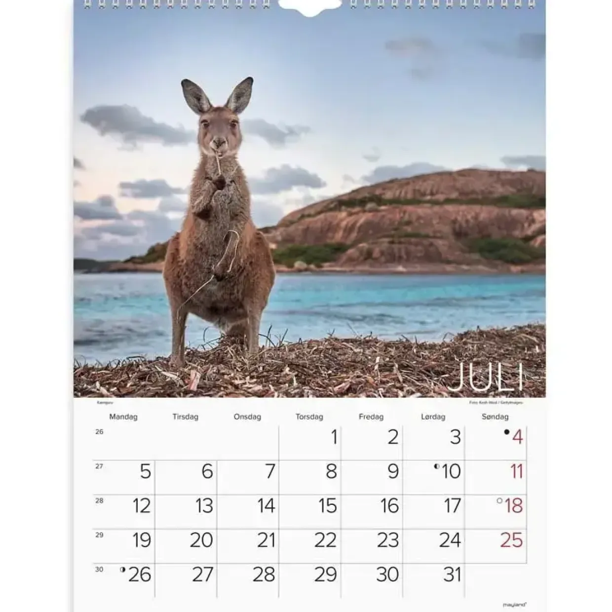 Vægkalender - Verdens dyr - 295x385mm - Spiral - 2027 - Mayland - 27066330